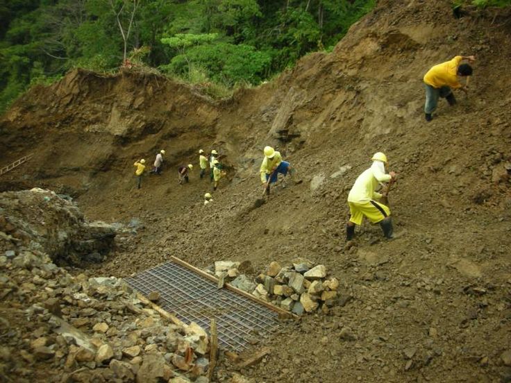 Community Engagement